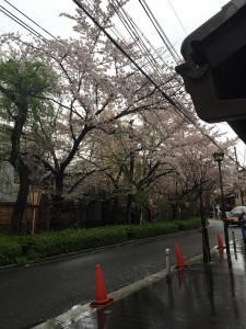 Evernote Camera Roll 20150410 095158